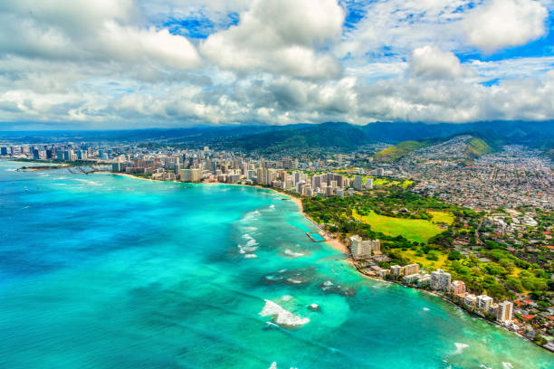 Oahu Turtle Spotting Snorkeling Tours Await